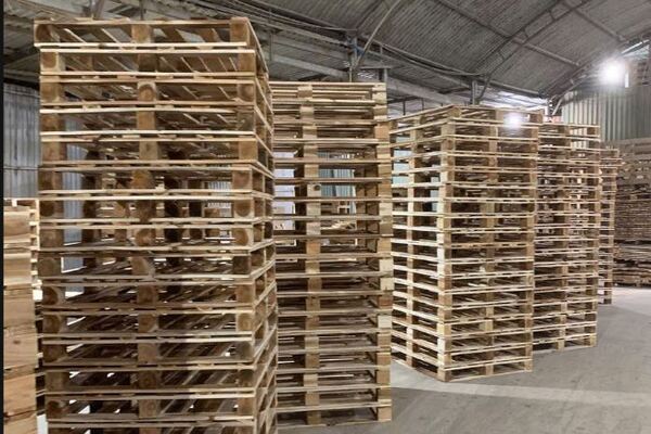 Cung Cấp Pallet Gỗ Chất Lượng Cao Tại KCN Nam Cầu Kiền – Giá Tốt, Giao Hàng Nhanh
